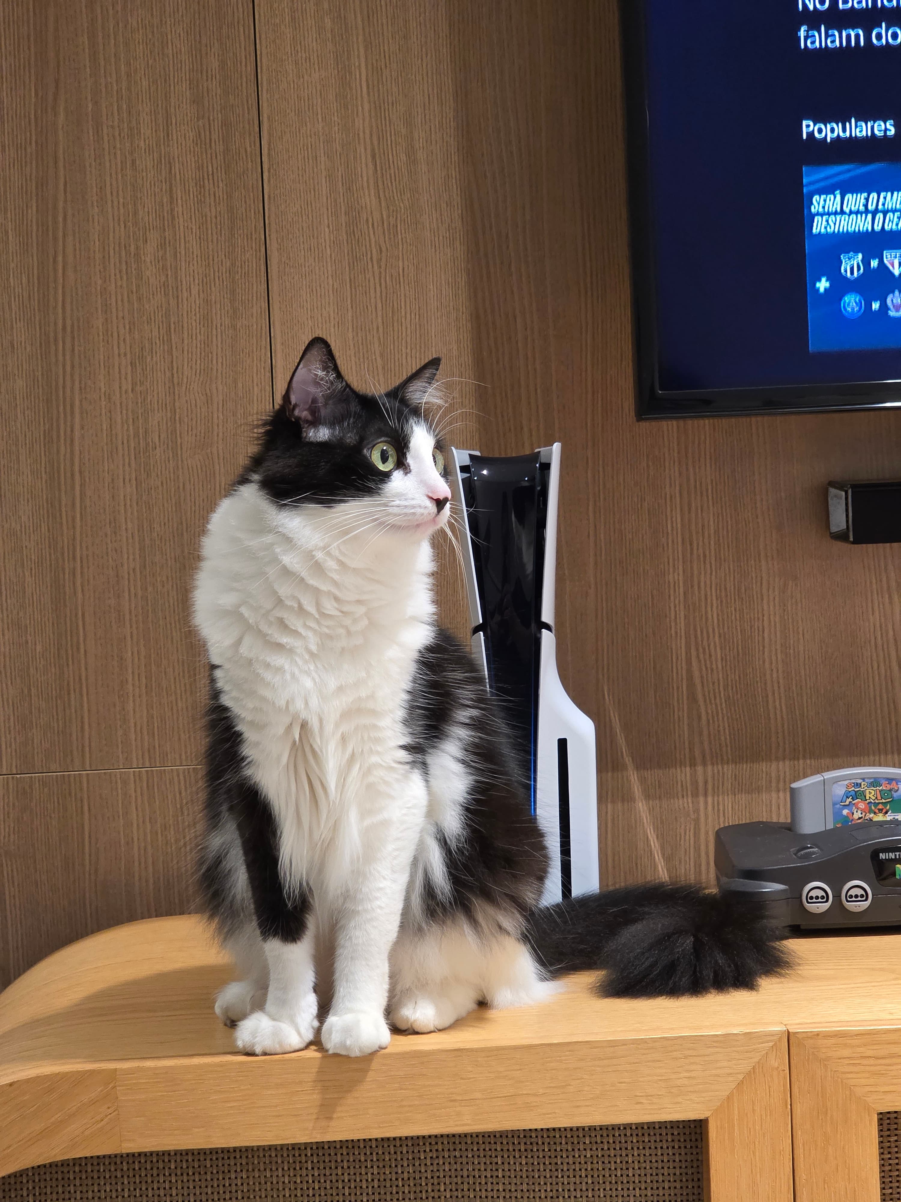 Foto 11 de Fernanda e Pedro