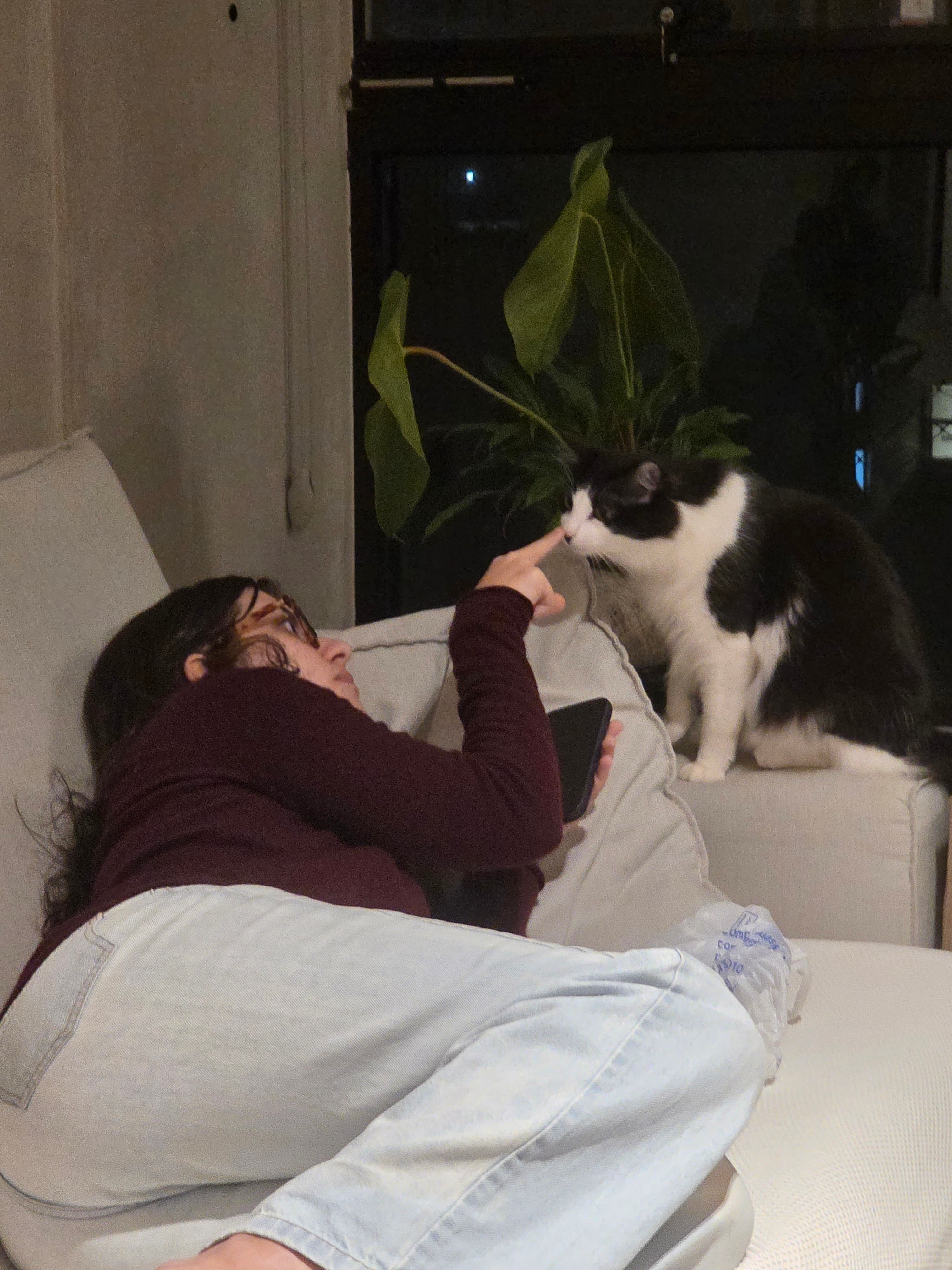 Foto 14 de Fernanda e Pedro