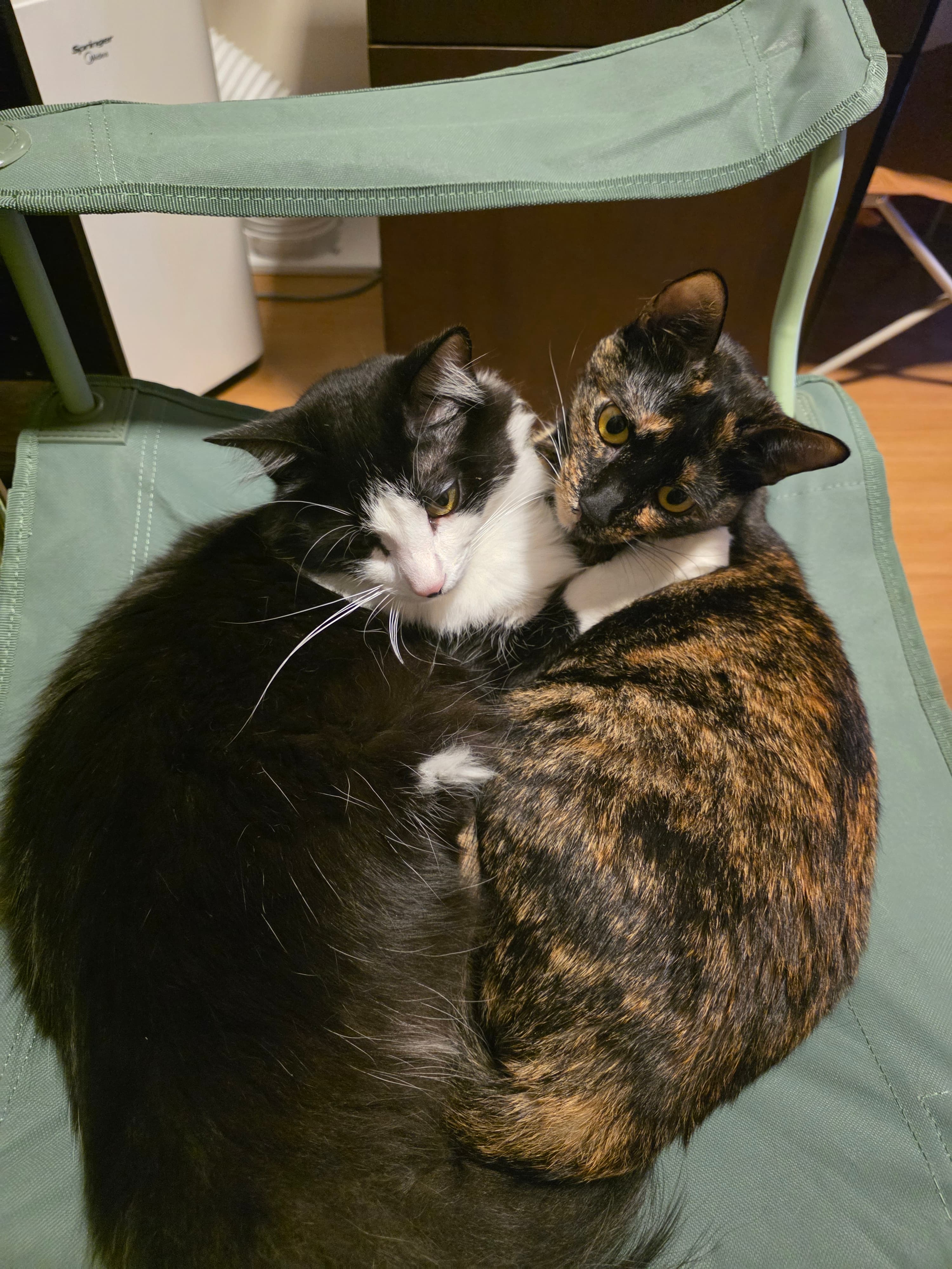 Foto 3 de Fernanda e Pedro